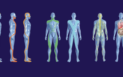 Les principes clés de la méthode Busquet en lien avec les chaînes physiologiques